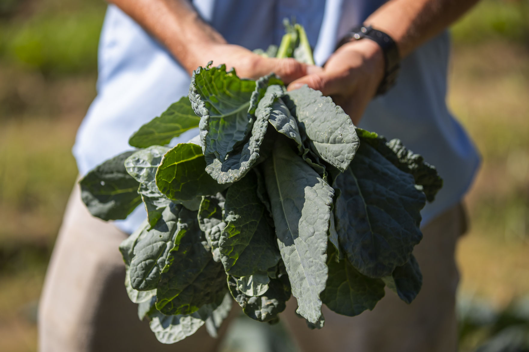 holding kale.jpg